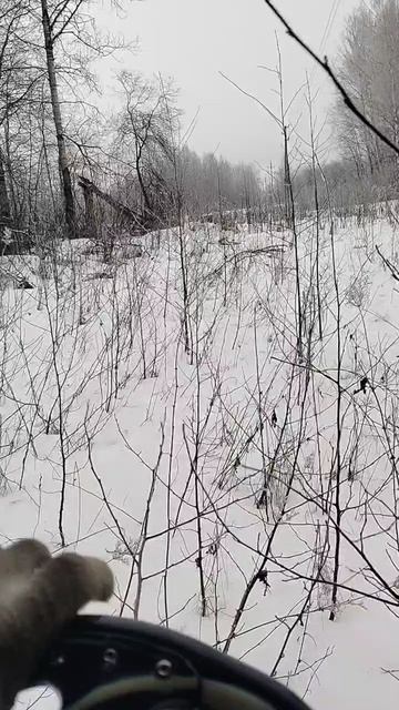 каракат по снегу