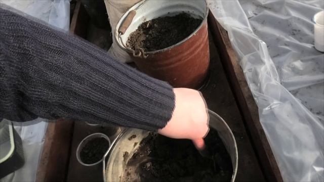 28-29 03 2021гсею первую партию капусты