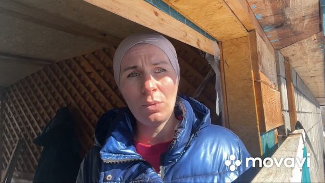 Жидкий стул у телят, чуть не кончали скотину #деревня #сарай #телята #ферма #обезвоживание #бык