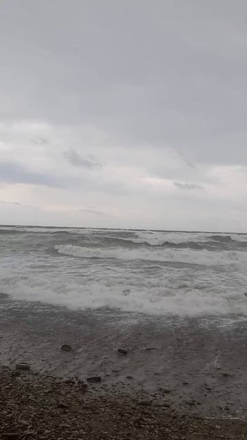 море