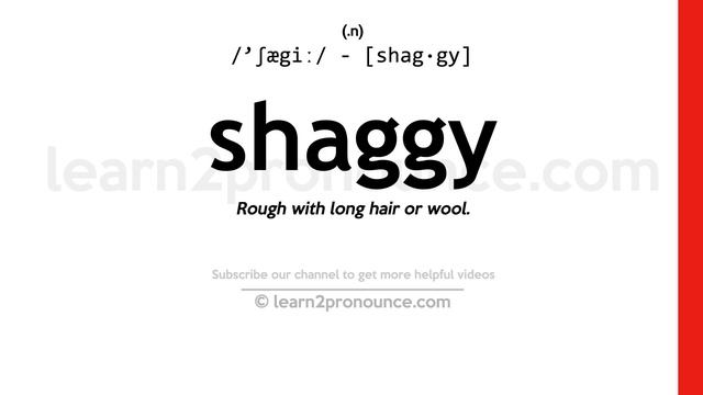 Pronunciation of Shaggy | Definition of Shaggy