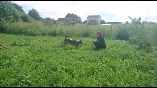 Джо  весь фильм