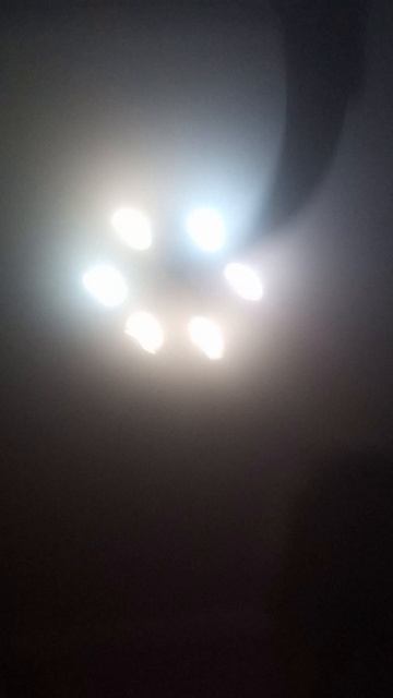 амгус