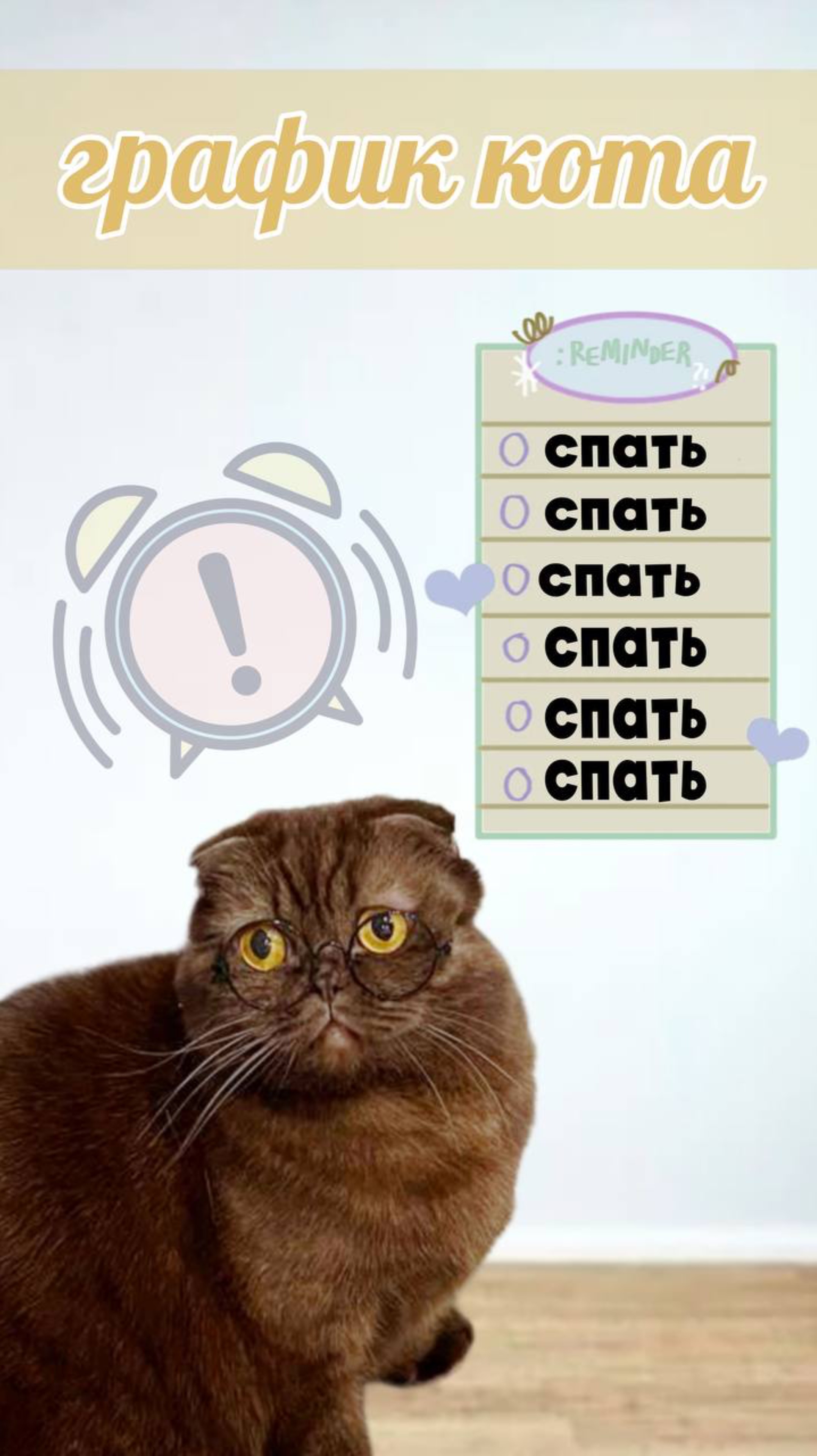 Распорядок дня кота #питомцы