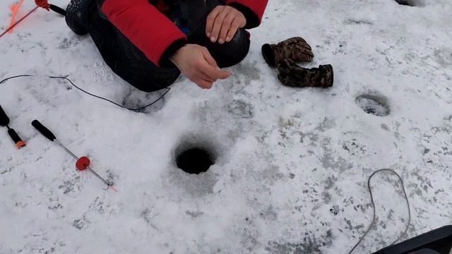 Поимка на поставушку
