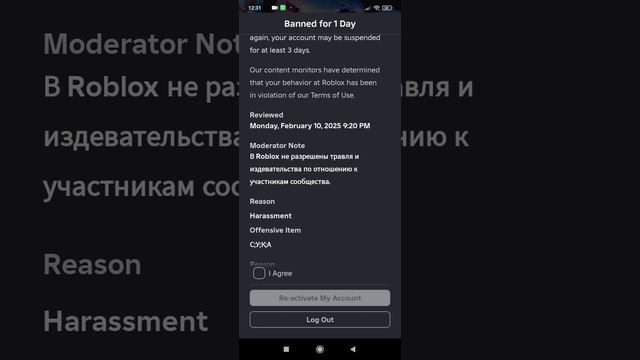 меня забанили в Roblox на 1 день