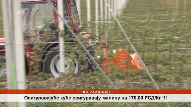CENU MALINE PLANIRANU 2024. smo RAZOTKRILI još na jesen 2023.- a sada se MANIPULIŠE - ovo mora da..