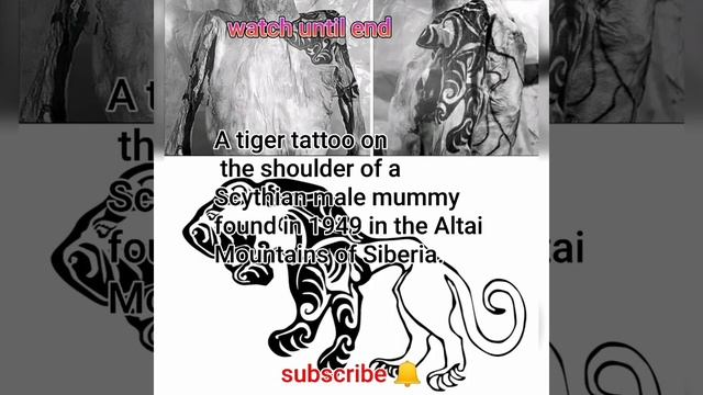 A tiger tattoo on the shoulder of a Scythian male mummy found in 1949 #viral #history #shorts