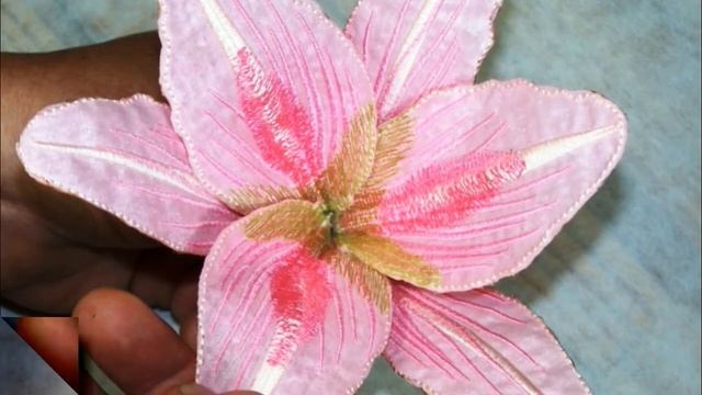 Pink Saint Joseph Lily