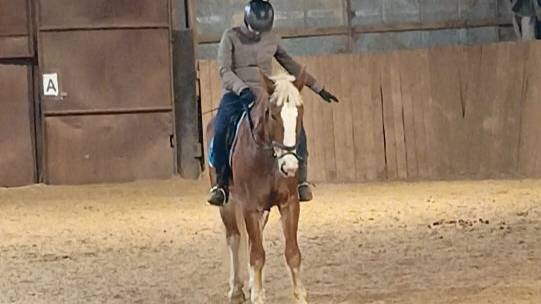 Анна и Каспер, ППДА. Тренировка с комментариями. #horse #equestrian #лошади #pony