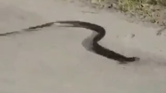 Ба дурусти сакароти марг хак аст