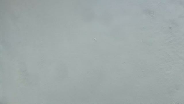 VID_20250215_142951.mp4