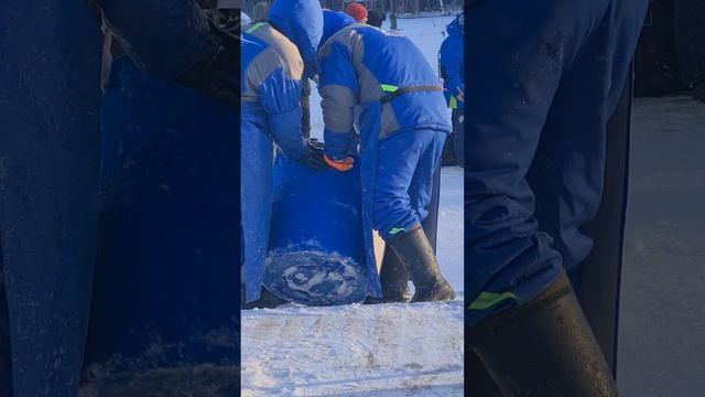 Запуск голца, палии и форели