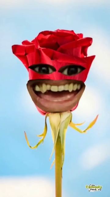 Rose Day #shorts #thecomedyfactory #funny #comedy #roseday #ytshorts