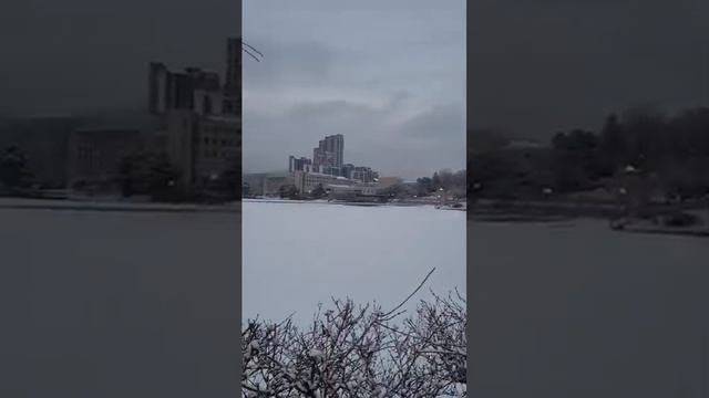 기습 폭설 후 건국대학교 설경 Snowy Konkuk University, SEOUL