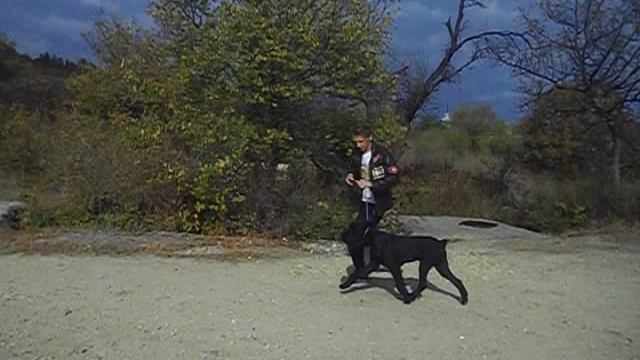 ХЕНДЛИНГ ДВИЖЕНИЯ. Площадка ЗАНЯТИЕ 4. 2012