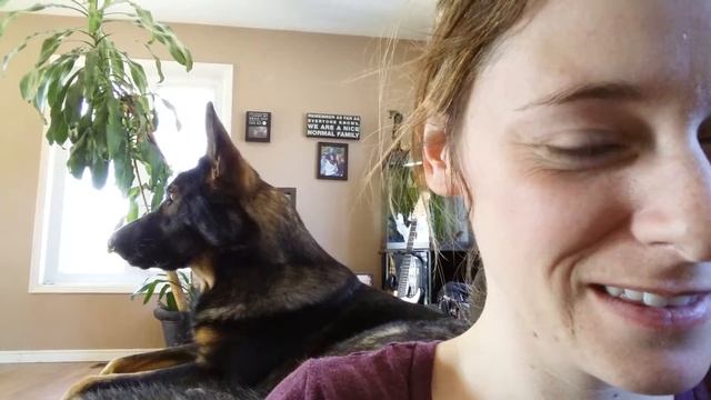 Cerberus and His Famous Howl