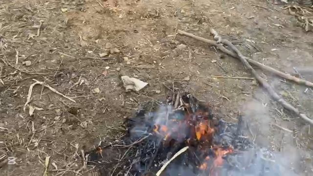 Готовим кортошку на костре