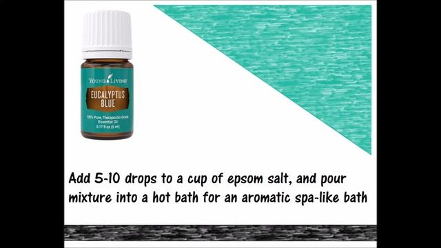 Eucalyptus Blue Essential Oil