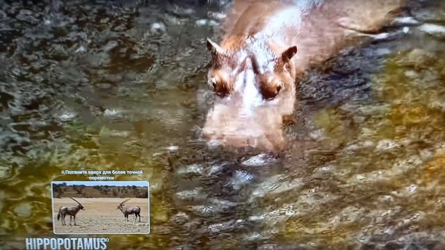 б/у Монитор HP. Продаю на Авито.