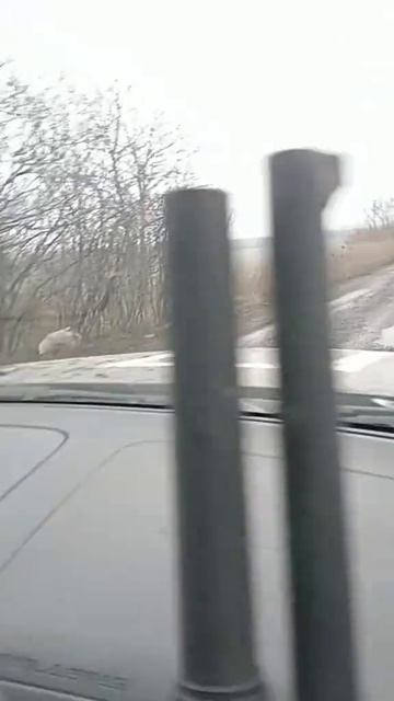 Недоброе утро  на линии снабжения боевиков украинских формирований в Харьковской области.