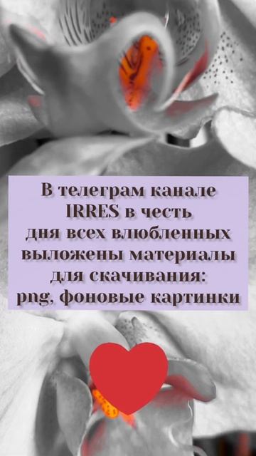 PNG, КАРТИНКИ БЕСПЛАТНО