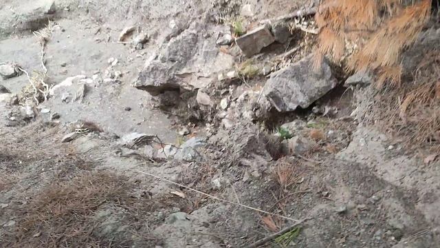 Продолжаю бороться с эрозией почвы в горах!