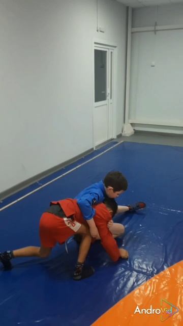 OSTROVSKY13 ATAMANOVKA