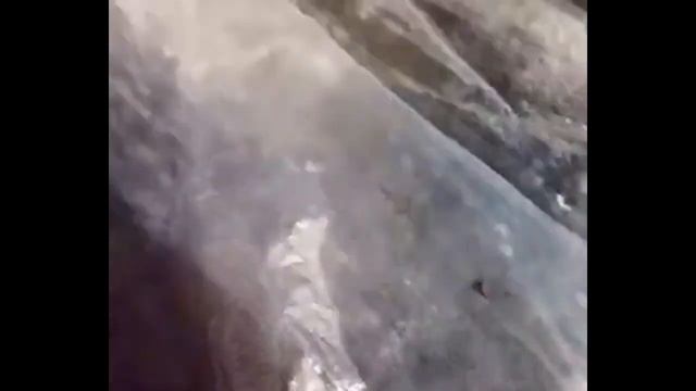 Как сделать парник внутри теплицы!.