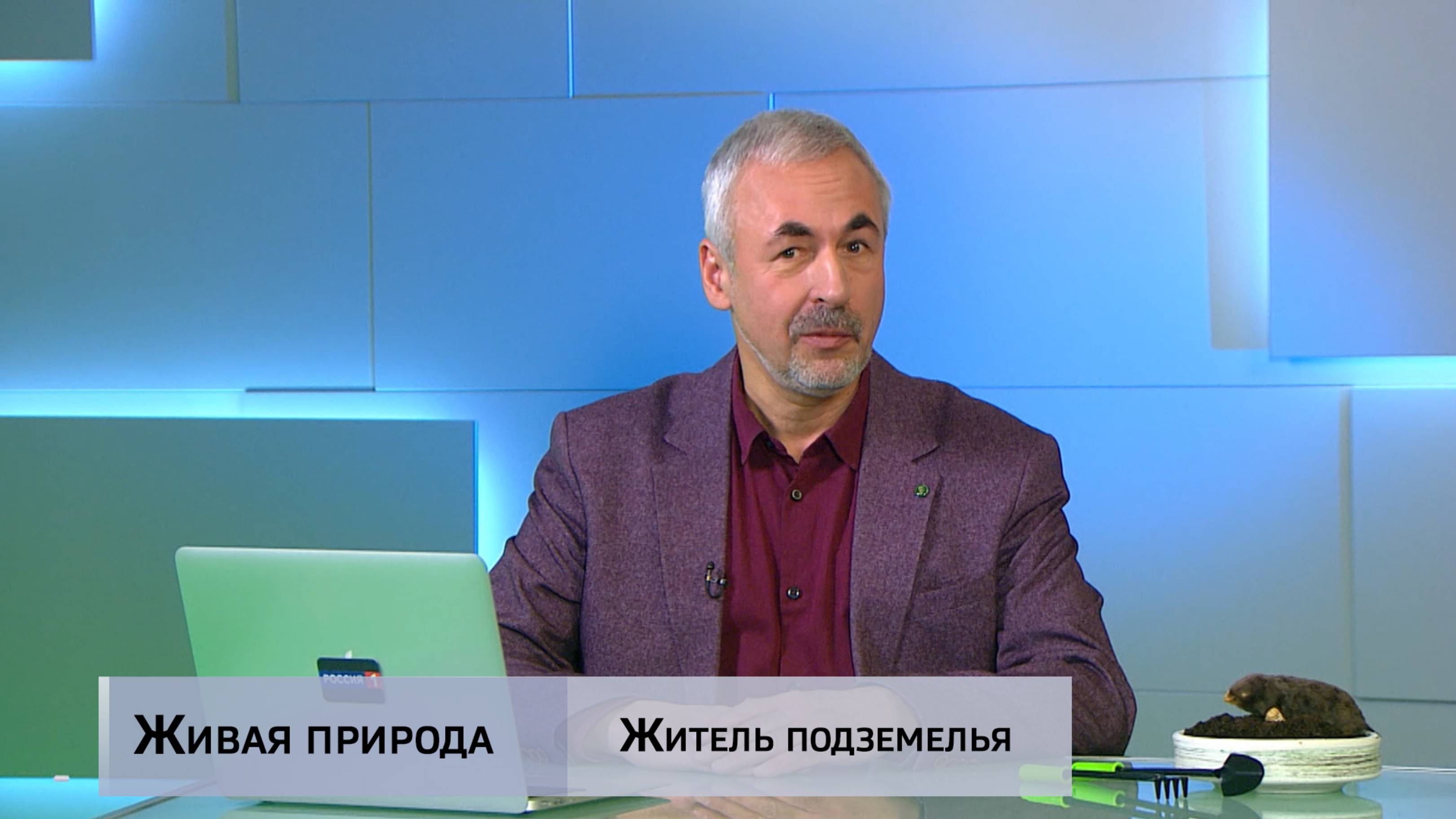 Живая природа. "Житель подземелья"