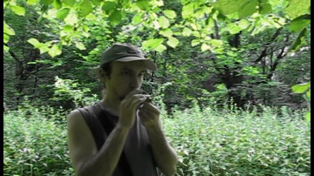 Свистулька Дубовая тон G в лесу | Whistle Oak tone G in the forest