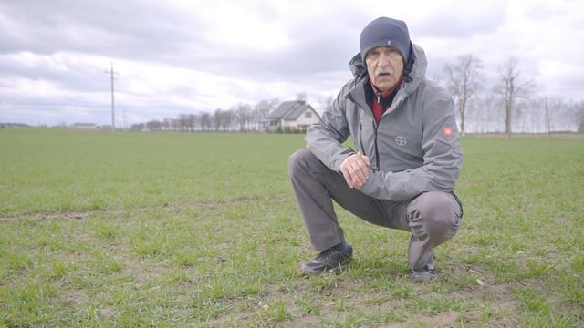 Pokonaj miotłę zbożową i chwasty dwuliścienne z Huzar Activ Plus