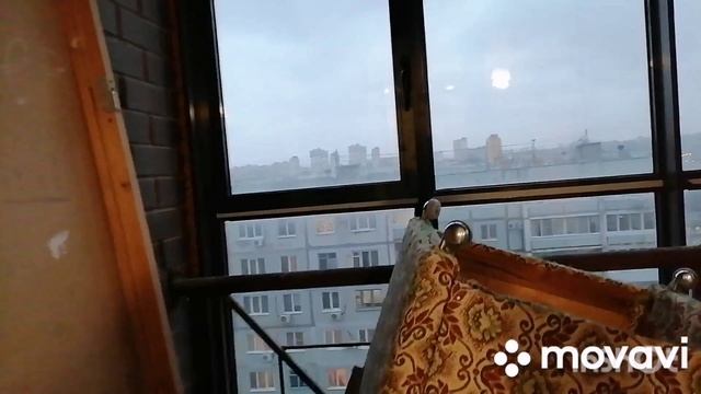 InShot_20250210_221347827.mp4