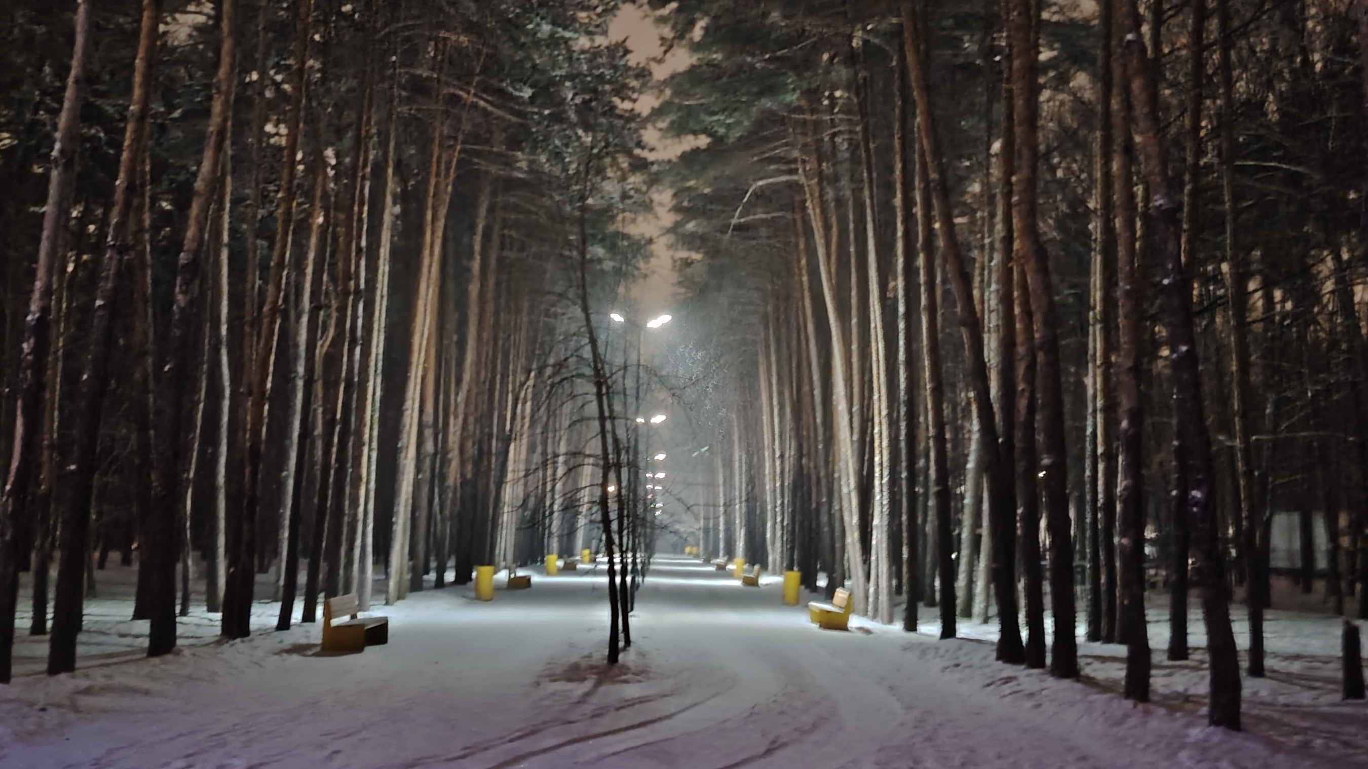Снежный парк Победы🎡