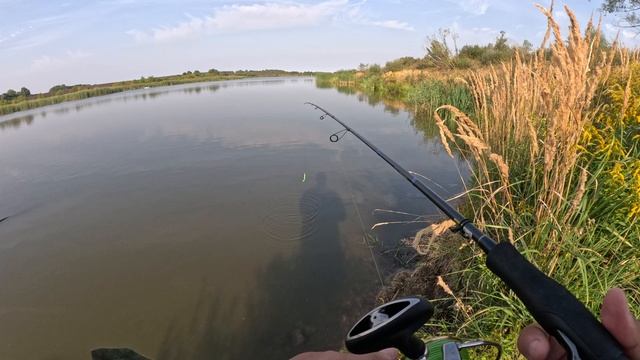 Прогулялся со спиннингом по секретному водоему и наловил судаков.  Рыбалка на спиннинг.