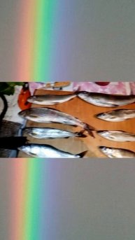 Осенняя рыбалка!🎣😎
