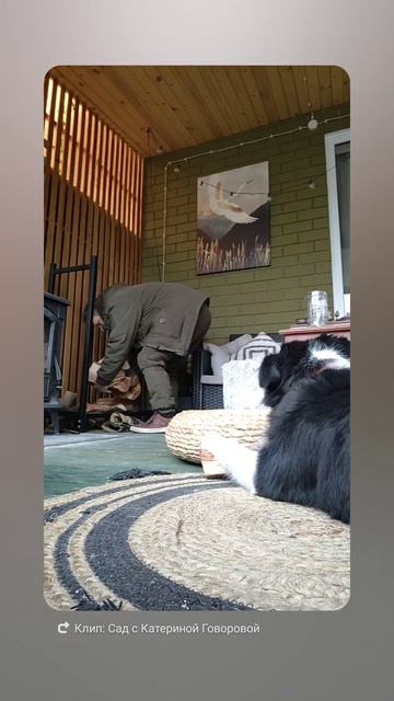 надвигаются морозы