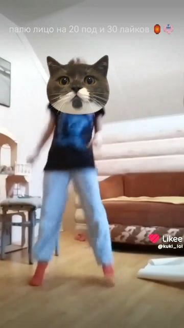 мяу..)