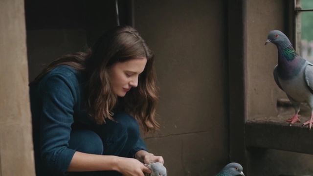 Голубь преследует по жизни свою спасительницу