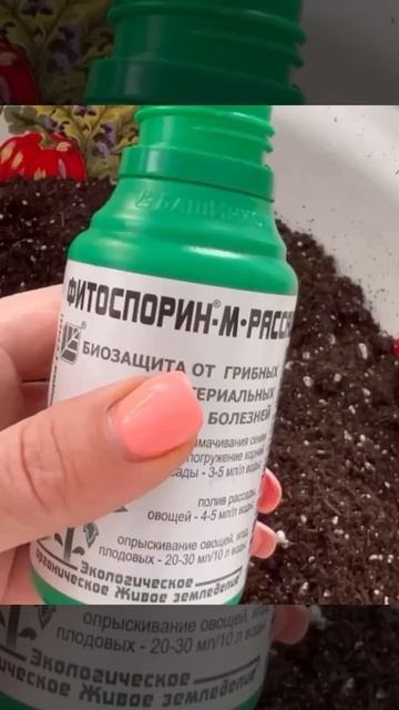 Посев виолы!🌺