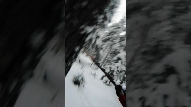 VID_20250215_174517