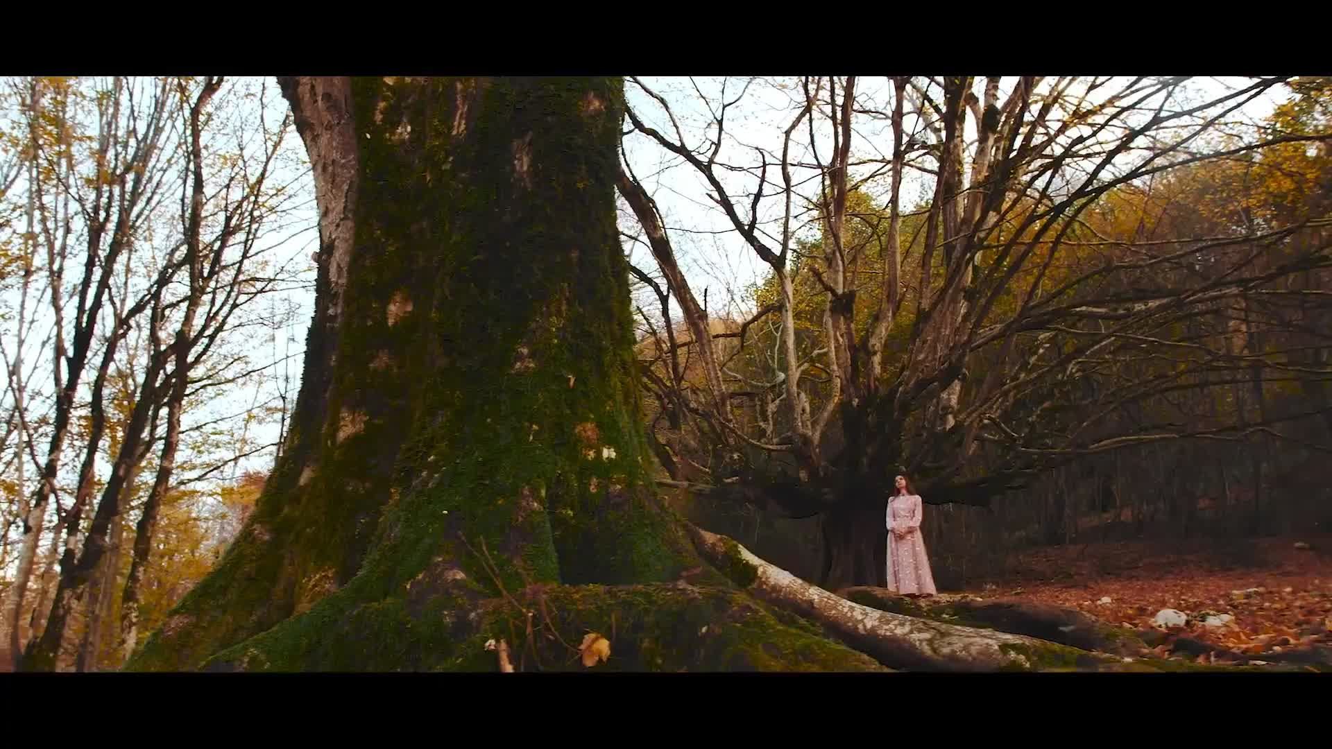 Библия онлайн | Книга Левит, 23:9-14