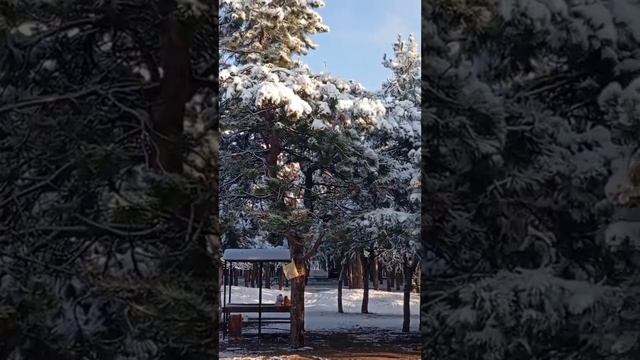 Взялись однажды Коммунисты