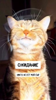 О чем думает женщина, когда муж в командировке