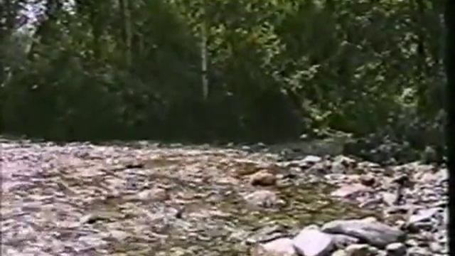 Соробей и Вотрин - Артель Мая