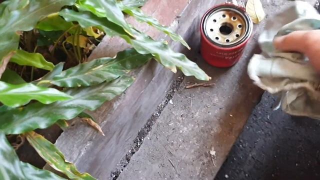 cara ganti oli avanza pake shell hx8 5w-30 engine flush EPR dan CERATEC liqui moly bikin awet mesin