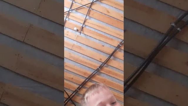 прикормка своими золотыми руками