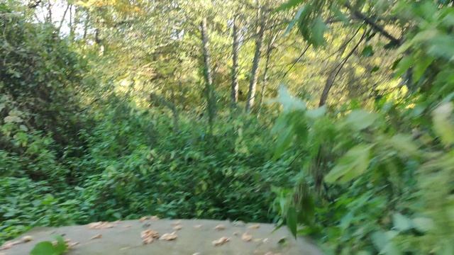 VID_20230930_153309