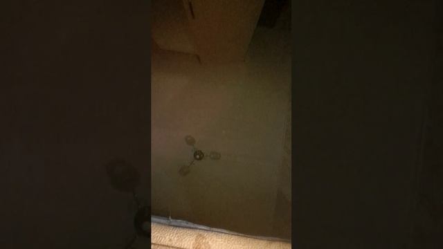 разговариваю с подписчиками