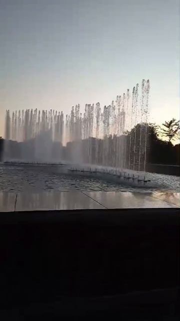 VID_20250215_185737_126